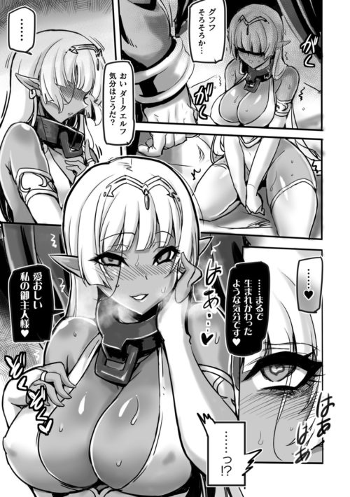 支配首輪　従順娼婦人形化　気高きダークエルフ姫
