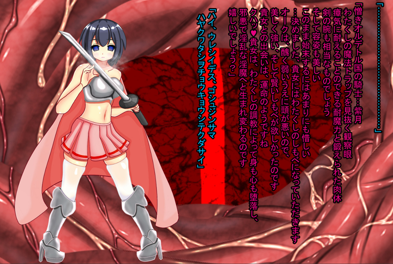 美少女王国騎士　淫魔女王　触手洗脳改造