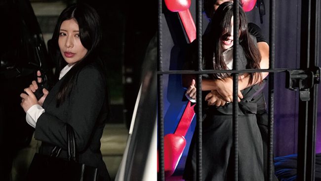 捜査官姉妹　凌辱地獄堕ち