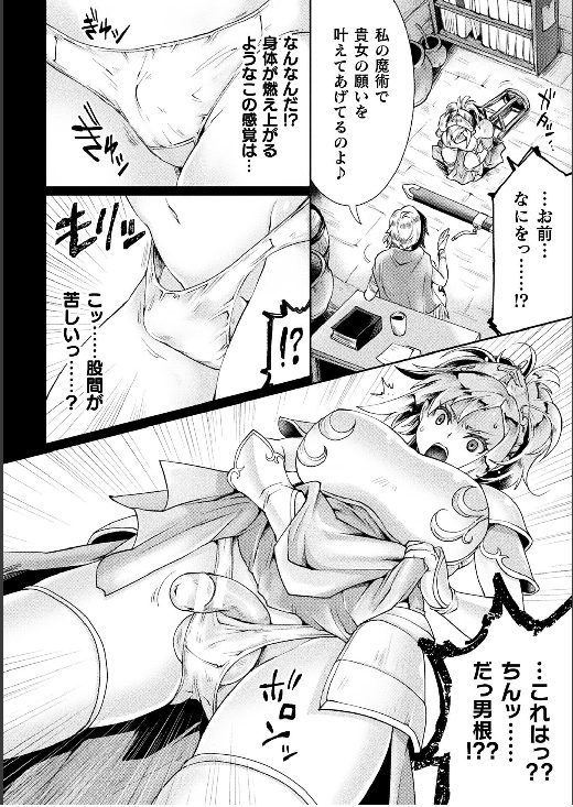 女騎士　騙されふたなり化　射精欲望　悪堕ち