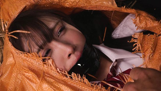 豚小屋監禁　奴隷調教　女子校生